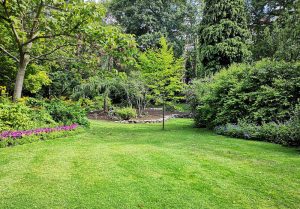 Optimiser l'expérience du jardin à Sainte-Suzanne-sur-Vire